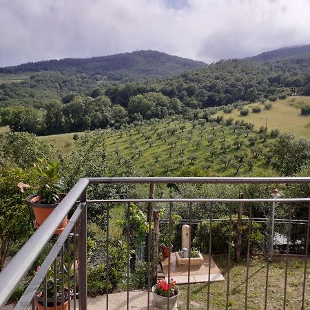 Costa Del Sole 42 Apartman Cetona Kültér fotó