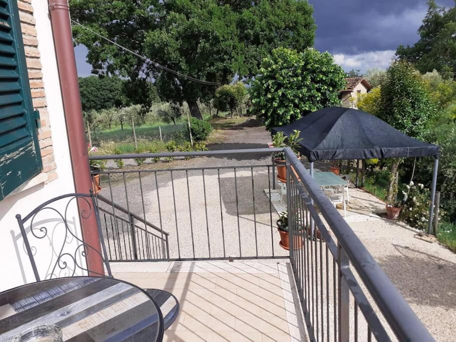 Costa Del Sole 42 Apartman Cetona Kültér fotó