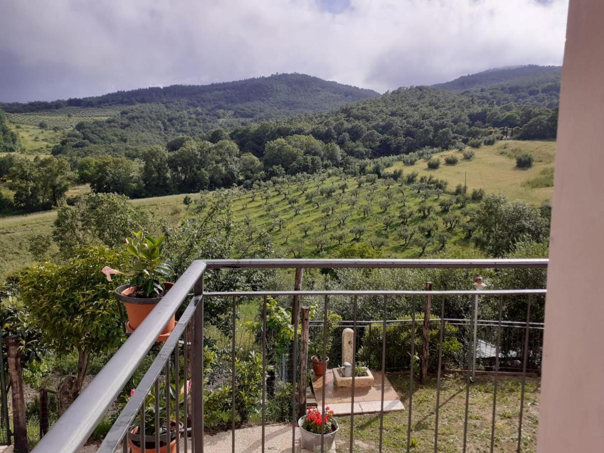 Costa Del Sole 42 Apartman Cetona Kültér fotó